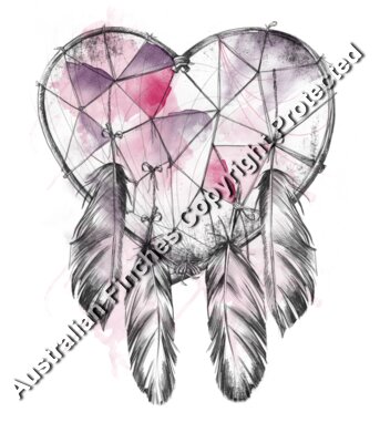 Dream Catcher
