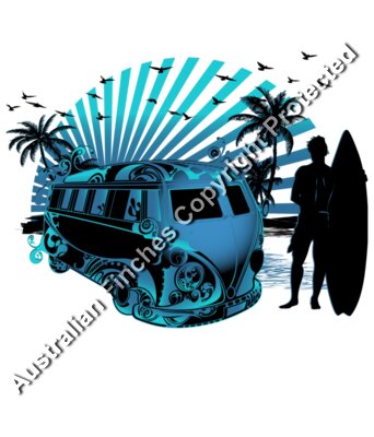 Combi Blues