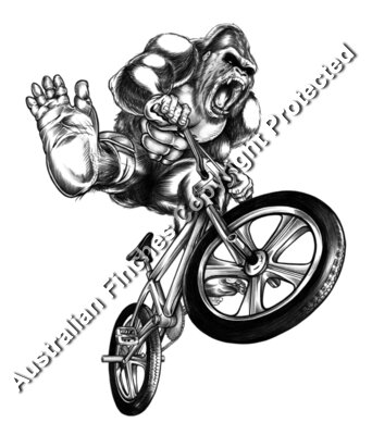 Gorilla Style