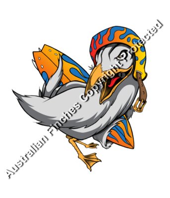 Crash Gull