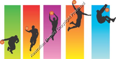 Colour Hoops