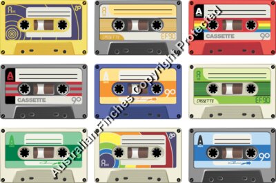 Cassette Joy