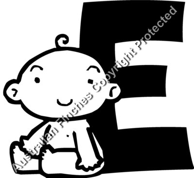 E