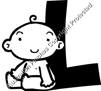 Baby L
