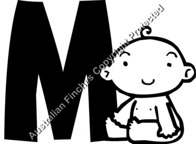 Baby M