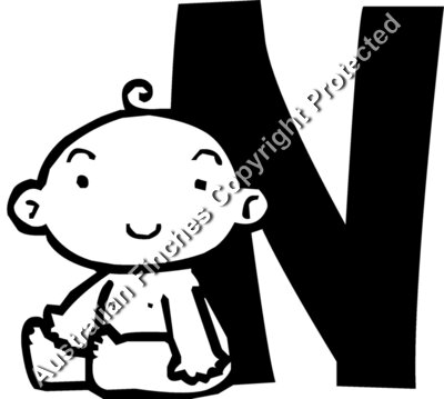 Baby N