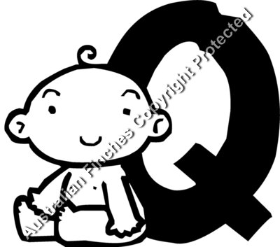 Baby Q