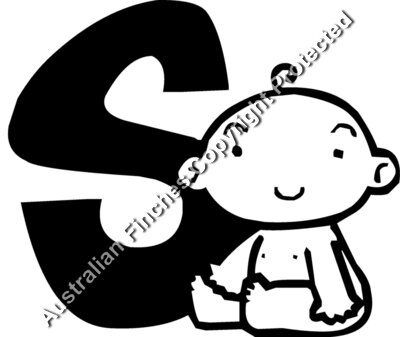 Baby S