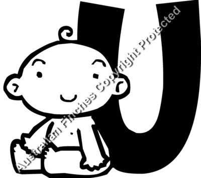 Baby U