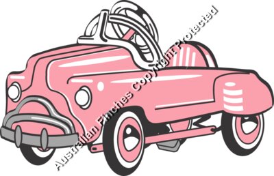 Pedal Car