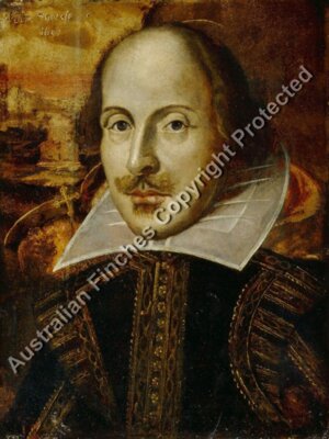 William Shakespeare