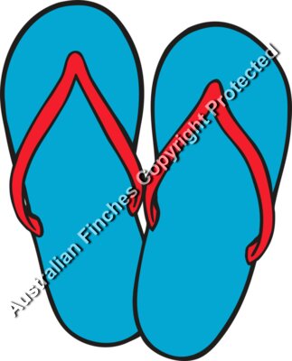 Thongs