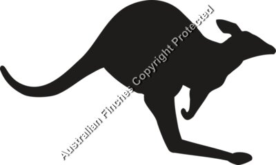 Karngaroo Silhouette