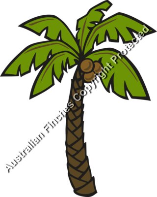Coconut Palm Tree
