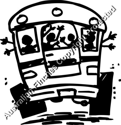 Bus