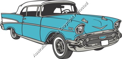 Blue Car