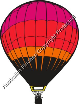 Hot Air Balloon