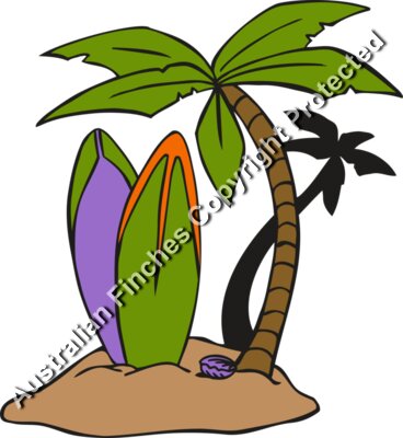 Surfboards Palm Tree