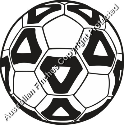 Soccer Ball
