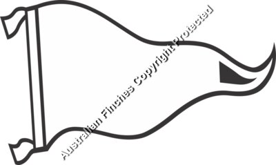Blank Banner Flag