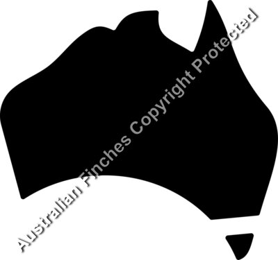 Abstract Silhouette