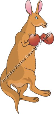 Boxing Kangaroo