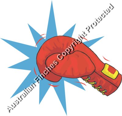 Boxing Glove Punch