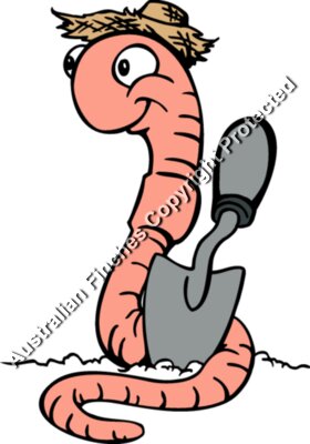 Worm