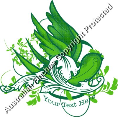 Green Swallow