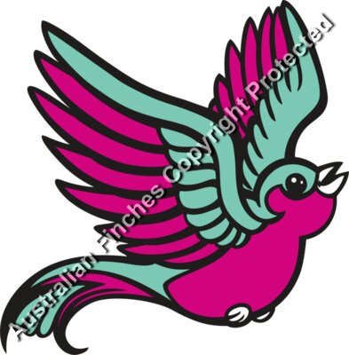 Bird 1