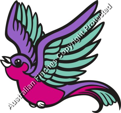 Bird 2