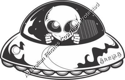 Alien Spaceship