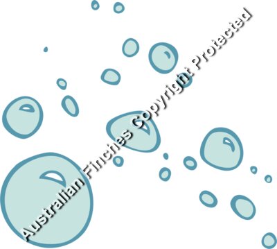 Bubbles Small
