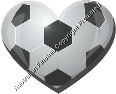 Soccer Love