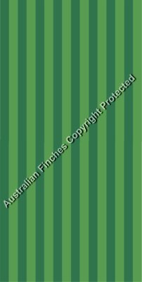 Green Stripes