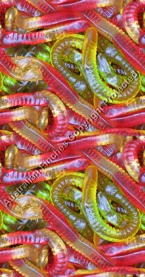 Lolly Snakes