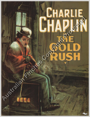 Gold rush 1925
