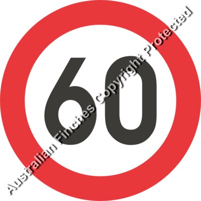 60 Speed Sign