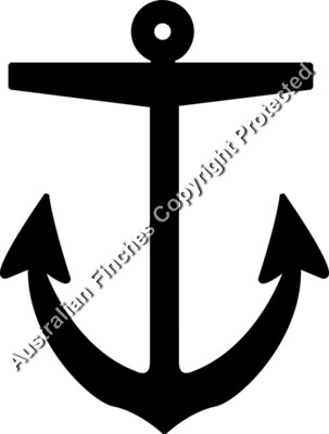 Anchor