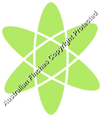 Atom