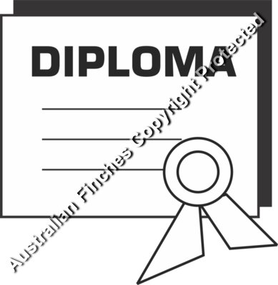 Graduation Diploma