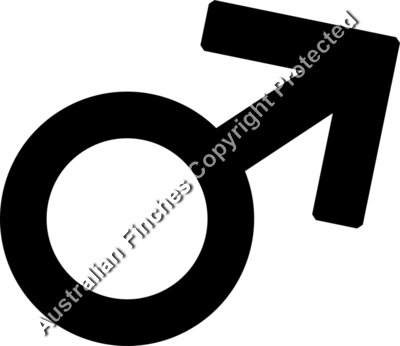 Female Symbol