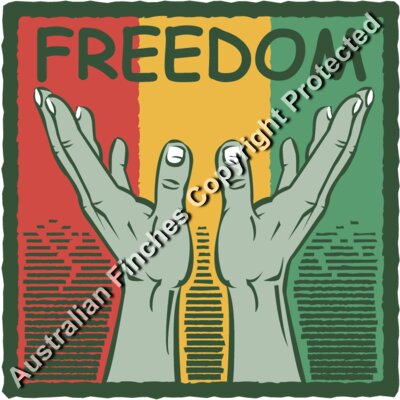 Freedom Hands