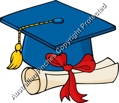 Graduation Diploma