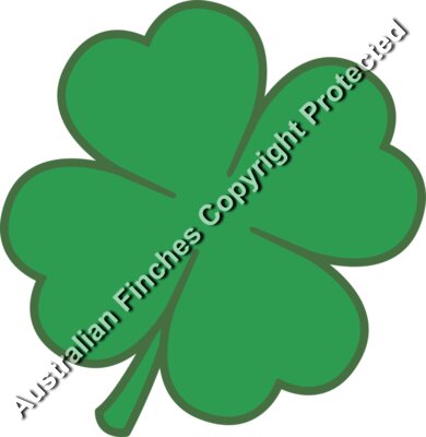 Four Leaf Clover Green