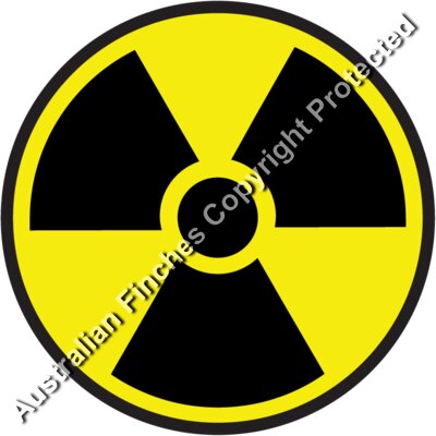 Bio Hazzard Yellow