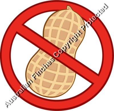 No Peanuts