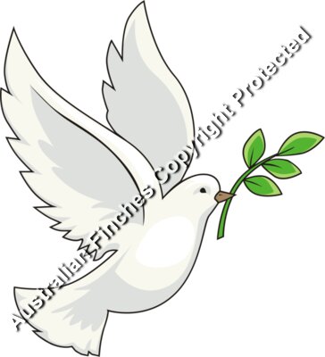 Peace Dove