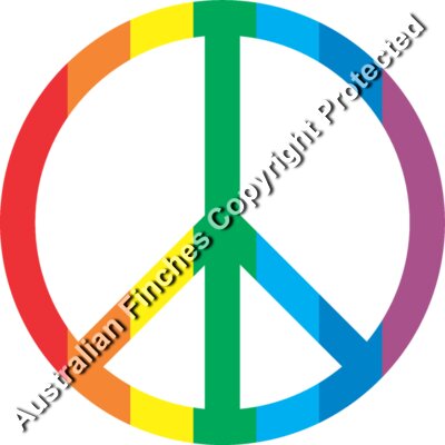 Peace Symbol Rainbow