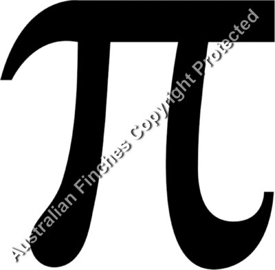 Pi Symbol